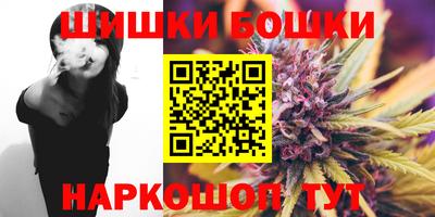мдпв Татарск