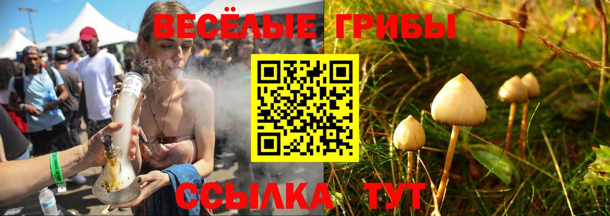 Псилоцибиновые грибы GOLDEN TEACHER  Псилоцибиновые грибы GOLDEN TEACHER  Вход с VPN  Павлово 