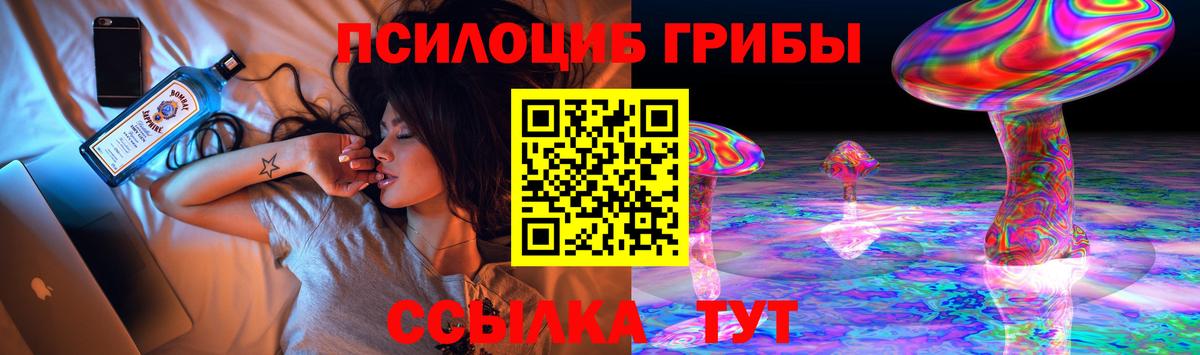 Псилоцибиновые грибы GOLDEN TEACHER Павлово